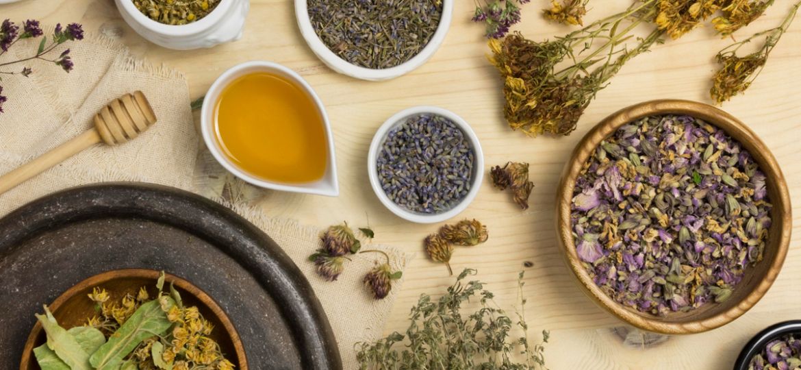 Riesgos Plantas Medicinales